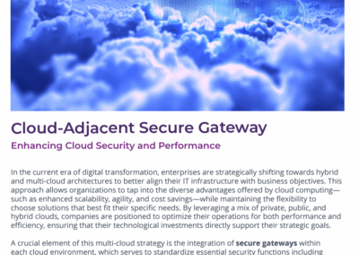 Cloud-Adjacent Secure Gateway