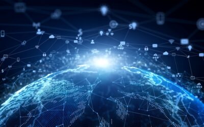 Your Data Has Escaped. Now What?